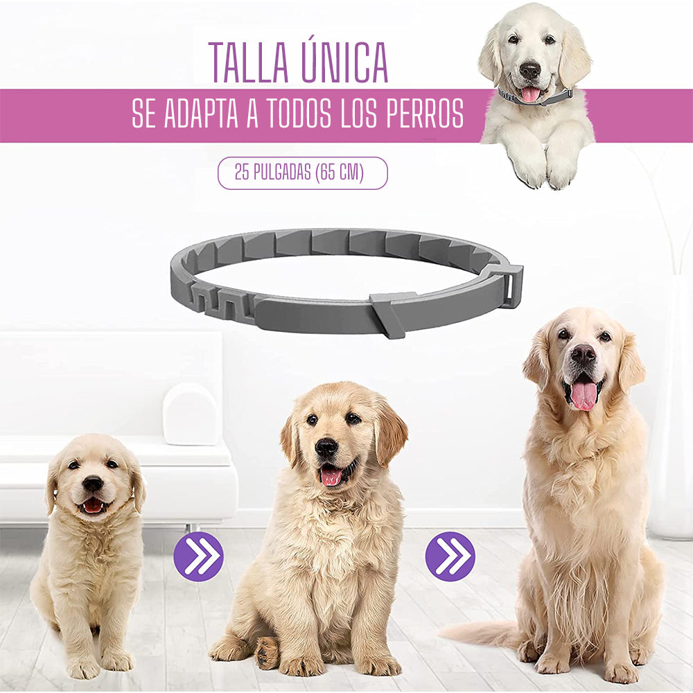 Collar Relajante Para PERRO con Feromonas