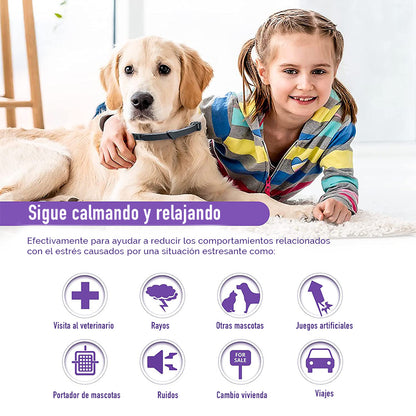 Collar Relajante Para PERRO con Feromonas