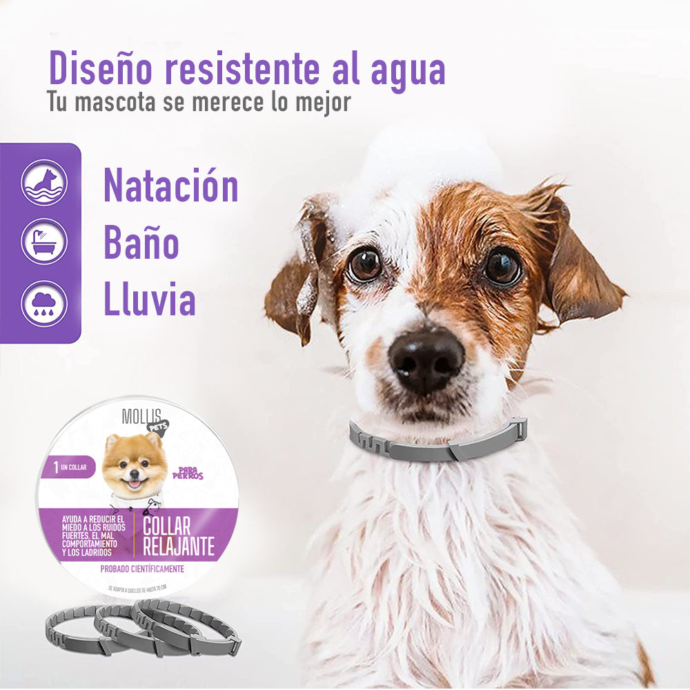 Collar Relajante Para PERRO con Feromonas