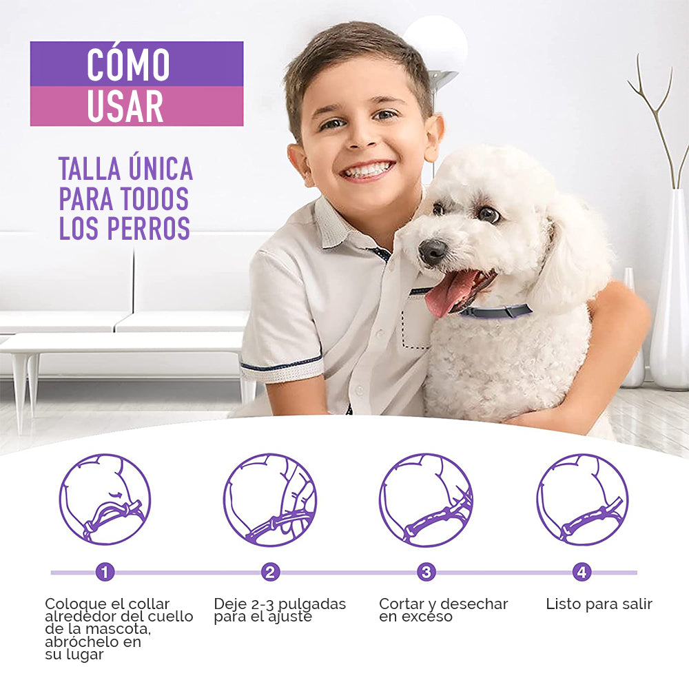 Collar Relajante Para PERRO con Feromonas